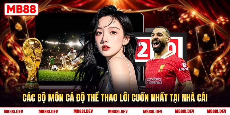 Các bộ môn cá độ thể thao lôi cuốn nhất tại nhà cái