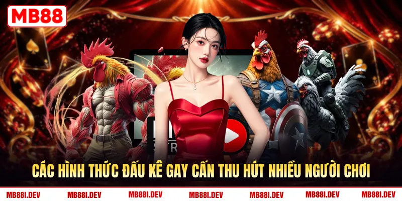 Các hình thức đấu kê gay cấn thu hút nhiều người chơi