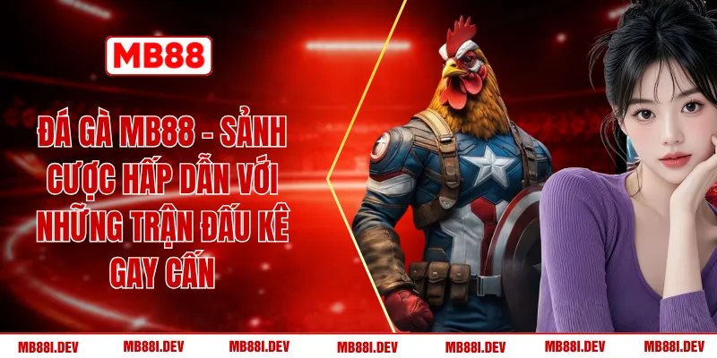Đá Gà MB88