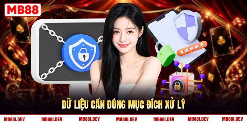 Dữ liệu cần đúng mục đích xử lý