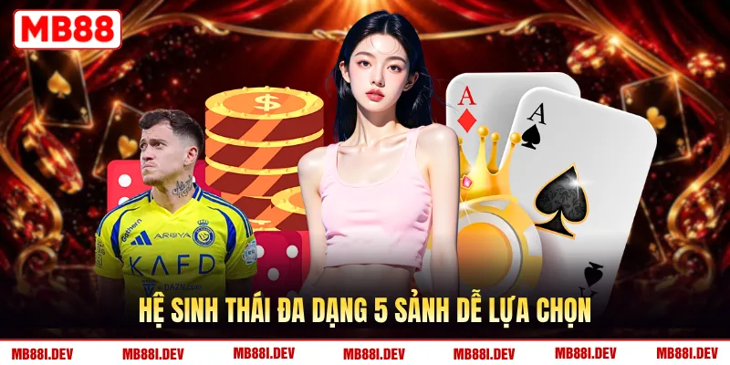 Hệ sinh thái đa dạng 5 sảnh dễ lựa chọn