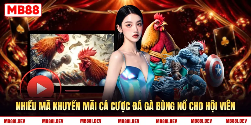 Nhiều mã khuyến mãi cá cược đá gà bùng nổ cho hội viên