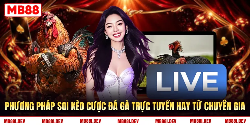 Phương pháp soi kèo cược đá gà trực tuyến hay từ chuyên gia