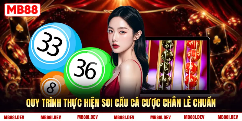 Quy trình thực hiện soi cầu cá cược chẵn lẻ chuẩn