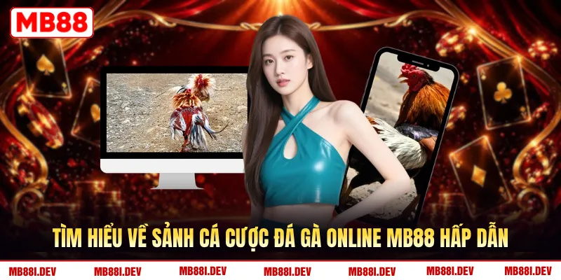 Tìm hiểu về sảnh cá cược đá gà online MB88 hấp dẫn